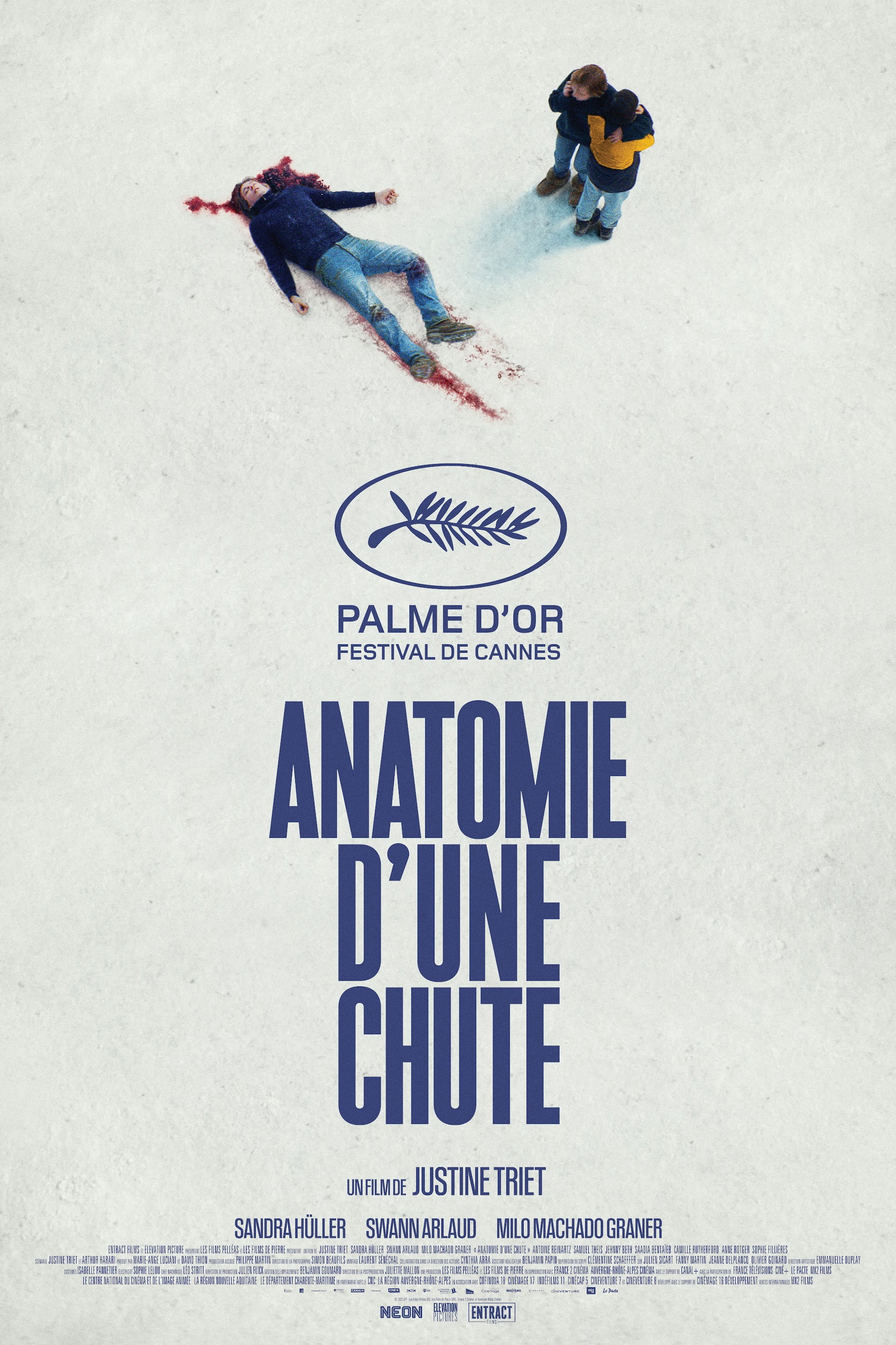 Anatomy of a Fall